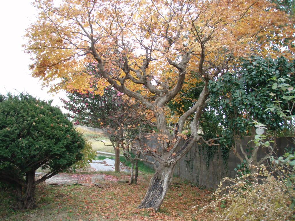 Guesthouse Hokkai Nanao Kültér fotó